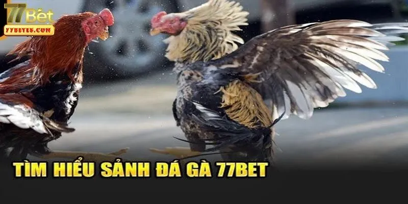 da-ga-77bet-3
